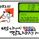 308005 이미지