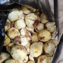 빽다방 세종용포대평시장점