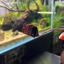 매일슈퍼자판기 | [대전 카페] 대흥동 ’비워터 Be water‘ 아쿠아 물멍 카페 후기, 대전 데이트 코스 추천