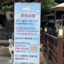 물왕저수지 캠핑장 추천, 물왕숲캠핑파크 장점 총정리