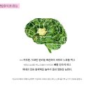 하이초등학교 이미지