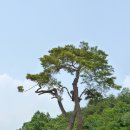 은하수공원 이미지