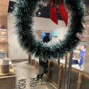 티라미스 | 홍종흔 베이커리 명장 티라미스 케이크 후기｜기념일이 더 빛났던 디저트 ☕🍰