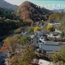 가평노팅힐계곡애견펜션 이미지