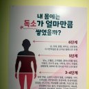 살빼고점핑다이어트