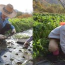 성규농장 이미지