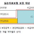 송연실비