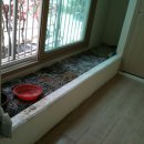 성북-돈암-2009 이미지