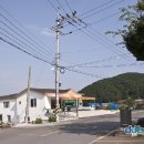 진전면937 이미지