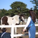 스텔라헤어 이미지