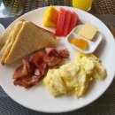 호텔파파야 | 보홀 가성비 숙소 추천 후기 : 센트 오브 그린 파파야 Scent of Green Papaya Resort