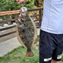 설바위펜션 | 충남 태안 설연휴 가볼만한곳 가족여행 코스 정리｜태안서부시장부터 바다체험까지