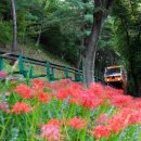 구미 에코랜드 이미지