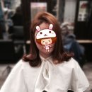 루디아 헤어샵 - 세종특별자치시 | 루디아 헤어샵
