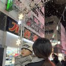 지에스(GS)25 창동상상길점 | 마산 가볼만한곳 창동 눈꽃축제 크리스마스 트리 시간, 위치