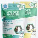 주식회사 데이원 이미지