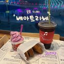 묵호 베아트리체카페｜해랑전망대 오션뷰 디저트 후기