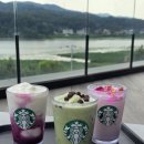 피치핑크 | 스타벅스 신메뉴 추천 레드빈 말차 프라푸치노, 핑크 피치 코코넛 리프레셔 후기