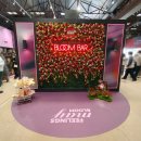 뽑기데이 | 레고 발렌타인데이 팝업스토어 《블룸바》 방문 후기(네이버 예약)