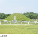 금빛바다 이미지