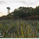 현대153공인중개사사무소 이미지