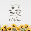 장녹수 Daum카페