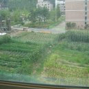 신우리공인중개사사무소 이미지