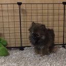 나보다 예쁘개 이미지