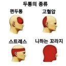마음에도 망막이 있다