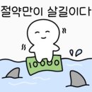 경산 가성비 본식스냅 그담스튜디오 계약후기 / 경산 더아트라움 보니타홀 본식스냅 / 짝꿍코드 공유 O