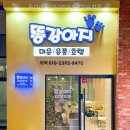 똥강아지 미용 | 똥강아지 애견미용&amp;호텔유치원 비용부터 보는 분께 맞는 조건