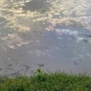 단석리산촌생태마을 이미지