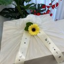 만나청과 이미지