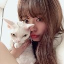 써니비지니스