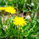 도봉-도봉-2471 이미지