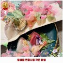성현동-22 | 성현동 맛집 이진칸 샤로수길점 후기 좋았던 곳 추천되는 이유는 가격과 리뷰가 좋기 때문이죠