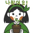 포레스트H