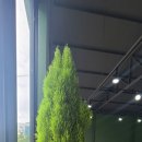 개정꽃농원 이미지