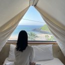 펜션 비치하우스 이미지