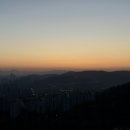 본토김밥 | 25년 11월 (1)