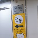 놀숲마곡 이미지