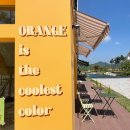 오렌지 칠(orange chill) 이미지