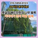 청송군민운동장 테니스장 | 풋살장 배드민턴장 나무 벌목 가지치기 전지 작업 업체