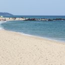 헌화로 Daum카페