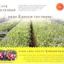 기찬흰민들레 영농조합법인 이미지