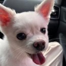 용추밸리캠프펜션 이미지