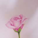 색연필 일러스트 이미지