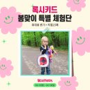 삼십팔점오 | 일교차 큰 봄철 당황하지 않는 [아기 열날때] 원인 및 [아기 해열제] 교차복용 꿀팁