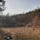 한반도면-10 이미지