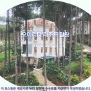 오미룸 | 달랏여행 호텔추천 오미리타 리조트 솔직후기: 후회없는 선택!